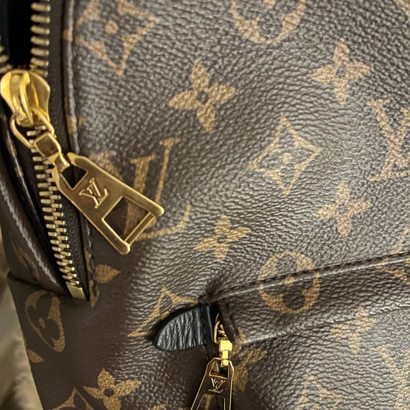 Authentic Louis Vuitton Palm Springs MM - Picture 4 of 5